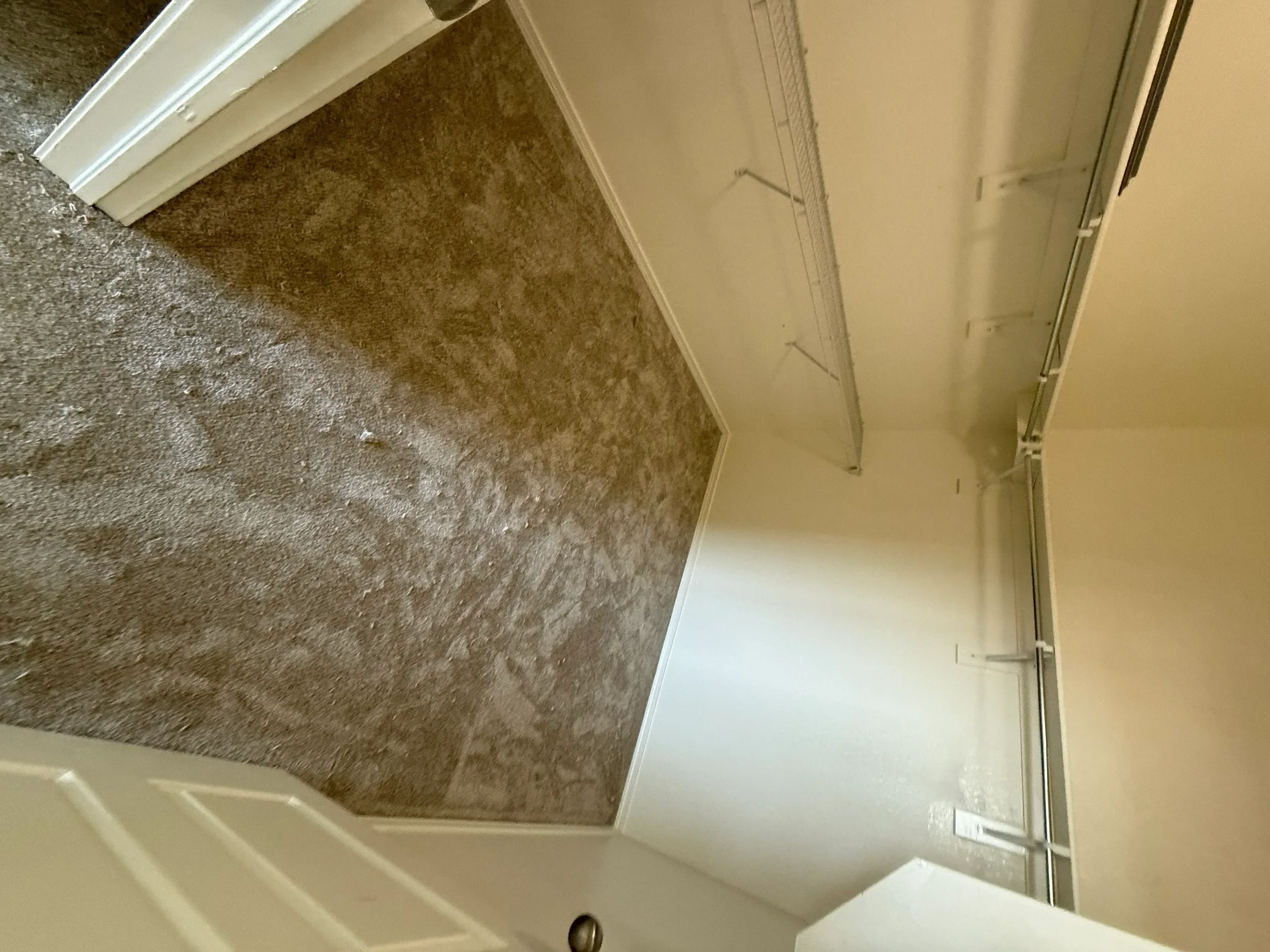 Basement staircase with new neutral carpet, white drywall walls, and finished trim
