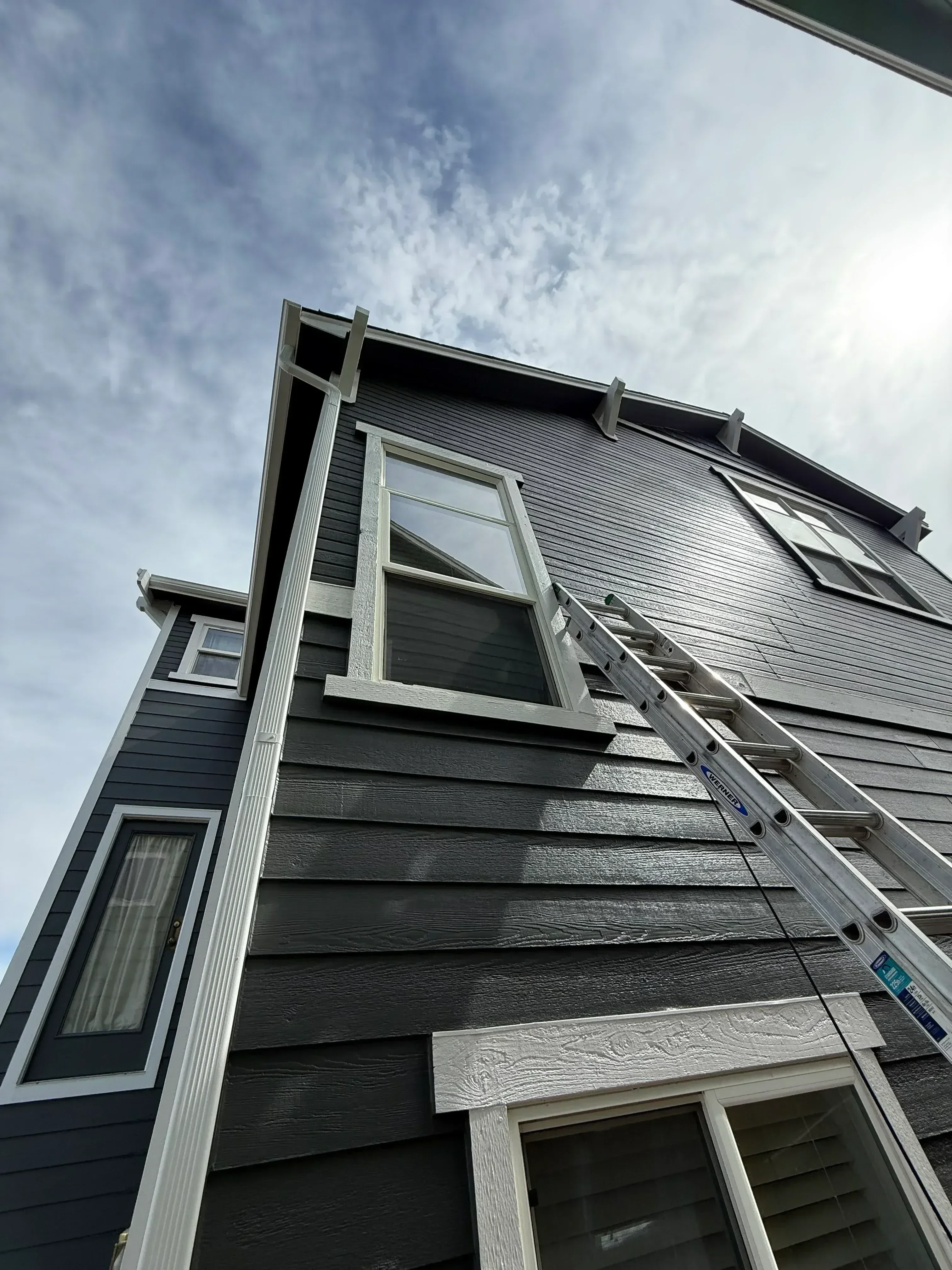 Charcoal vertical siding with white-trimmed window and aluminum ladder detail